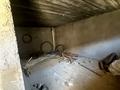 Часть дома · 8 комнат · 310 м² · 8 сот., мкр Нуршуак, Сырымбатыр за 36.5 млн ₸ в Шымкенте, Абайский р-н — фото 8