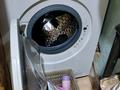 1-бөлмелі пәтер · 28.9 м² · 1/5 қабат, Сагадата Нурмагамбетова 120/2 — Российская, Ермака, бағасы: 9.5 млн ₸ в Павлодаре — фото 9
