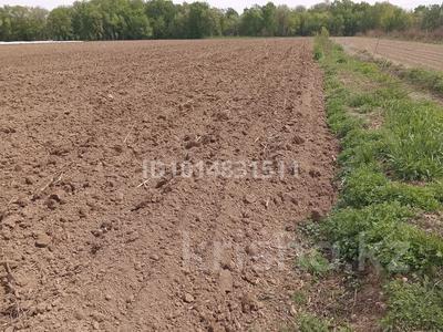 Участок · 1.5 га, Жаналык (Талгарский район) за 45 млн ₸