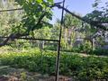 Дача · 4 комнаты · 96 м² · 7 сот., Усл 2 74 — Завод ЭФЕс за 20 млн ₸ в Алматы — фото 3