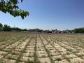 Паркинг · 10000 м² · Жунисбеков 73 — RIXOS қонақ үйіне жақын за 300 000 ₸ в Туркестане — фото 7