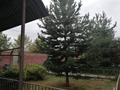 Отдельный дом · 6 комнат · 320 м² · 16 сот., Достык 11 — Винзавод за 93 млн ₸ в  — фото 8