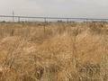 Участок · 94 сотки, Кемерторган за 120 млн ₸ в Кемертогане — фото 17