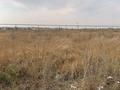 Участок · 94 сотки, Кемерторган за 120 млн ₸ в Кемертогане — фото 6