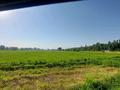 Участок · 2.11 га, Жанаарна за 55 млн ₸ в Алатау — фото 8