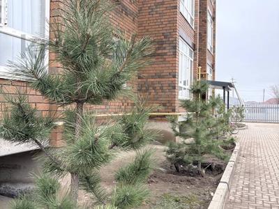 2-бөлмелі пәтер · 69 м² · 2/3 қабат, 10мкрн. 27/2 — Жумагалиева, бағасы: 22.5 млн ₸ в Уральске