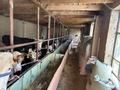 Жеке үй · 7 бөлме · 150 м² · 20 жүзд., Қарасаз ауылы, бағасы: 15.5 млн ₸ в Бауыржан Момышулы — фото 31