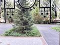 Свободное назначение, офисы, магазины и бутики, склады, салоны красоты, медцентры и аптеки, образование, развлечения · 137 м² за 120 млн ₸ в Астане, р-н Байконур — фото 10
