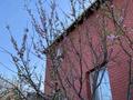 Отдельный дом · 6 комнат · 175 м² · 176 сот., мкр Малый Самал, Абдрайымулы 14 — Рыскулова/Утегенова за 83 млн ₸ в Шымкенте, Туран р-н — фото 15