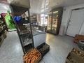 Дом,кафе,донерка,овощной 3 бизнеса с. Баканас · 350 м², бағасы: 80 млн ₸ — фото 3