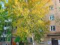 7-комнатная квартира · 150 м² · 3/5 этаж, Ломоносова 6 за 60 млн ₸ в Щучинске — фото 3