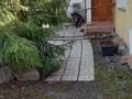 Отдельный дом · 5 комнат · 81 м² · 9 сот., Радищева 10 — Бензострой за 26 млн ₸ в Петропавловске — фото 12