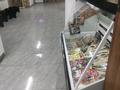 Магазин разливных напитков · 129 м², бағасы: 2.8 млн ₸ в Астане, Алматы р-н — фото 12