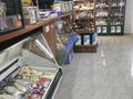 Магазин разливных напитков · 129 м², бағасы: 2.8 млн ₸ в Астане, Алматы р-н — фото 15