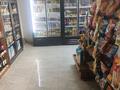 Магазин разливных напитков · 129 м², бағасы: 2.8 млн ₸ в Астане, Алматы р-н — фото 8