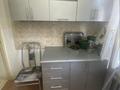 2-бөлмелі пәтер · 45 м² · 3/5 қабат, Республики 10 — Акация, бағасы: 18.2 млн ₸ в Шымкенте, Туран р-н — фото 7