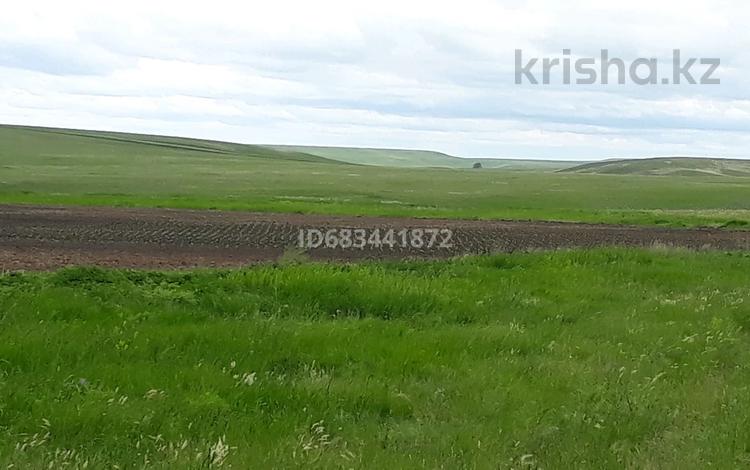 Участок · 150 га, Мартук за 20 млн ₸ — фото 2