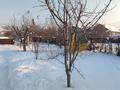 Отдельный дом · 4 комнаты · 168.9 м² · 12 сот., Яблочная п13 за ~ 24.7 млн ₸ в Бельбулаке (Мичурино) — фото 2