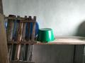 Саяжай · 2 бөлме · 30 м² · 10 жүзд., Садовая — Глубокое, бағасы: 1 млн ₸ в Усть-Каменогорске — фото 6