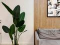 5-бөлмелі пәтер · 175 м² · 2/3 қабат, Улытау 180/8, бағасы: 250 млн ₸ в Алматы, Бостандыкский р-н — фото 19