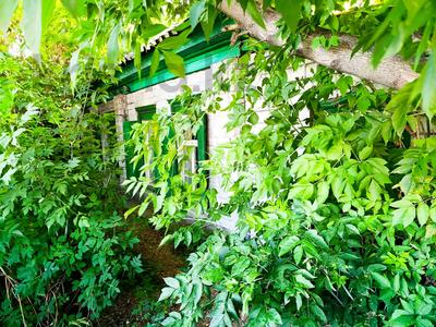 Аренда домов или дач в Абай обл.: Отдельный дом · 3 комнаты · 84 м², Радищева — Найманбаева Валиханова за 150 000 〒 Отдельный дом · 3 комнаты · 84 м², Радищева — Найманбаева Валиханова за 150 000 〒 в Семее