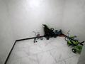 4-комнатная квартира · 114.3 м² · 9/9 этаж, Туран 46/а — Помощь в получении ипотеки за 78 млн ₸ в Астане, Есильский р-н — фото 35