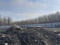 Участок · 10 соток, Бархатная за 8 млн ₸ в  — фото 4