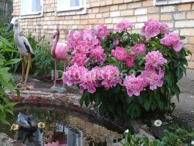 Отдельный дом · 5 комнат · 120 м² · 17 сот., Шубартау 66 — Центр за 18 млн ₸ в Балкашине