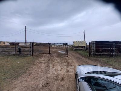 Действующий бизнес кх. для разведения скота, 1500 м² за 35 млн 〒 в Усть-Каменогорске, Ахмирово