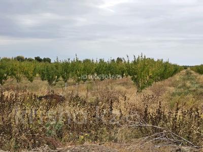 Участок · 14 га, Бахар за 26 млн 〒 в Чундже