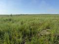Участок · 150 соток, Алатауский р-н за 375 млн ₸ в Алматы — фото 7