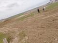 Участок · 8 соток, мкр Нуршуак, Алтын сандык за 8.9 млн ₸ в Шымкенте, Абайский р-н — фото 3