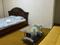 2-комнатная квартира · 40 м² · 1 этаж, Момышулы 7А — Республика - Момышулы за 10 000 ₸ в Шымкенте, Аль-Фарабийский р-н
