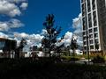 2-комнатная квартира · 50 м² · 15/18 этаж, Туран 57/1 — САМАЯ НИЗКАЯ ЦЕНА В ЭТОМ ДОМЕ за 37 млн ₸ в Астане — фото 17