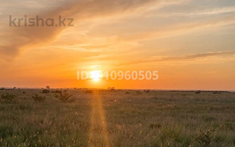 Участок · 1000 га, Тескенсу за 1 млн ₸ — фото 5