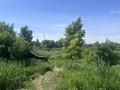 Отдельный дом · 6 комнат · 240 м² · 20 сот., Усолка 65 за 40 млн ₸ в Павлодаре — фото 13