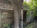 Отдельный дом · 4 комнаты · 70 м² · 16.5 сот., Балбык би 55 за 23 млн ₸ в Карабулаке (п.Ключи) — фото 25