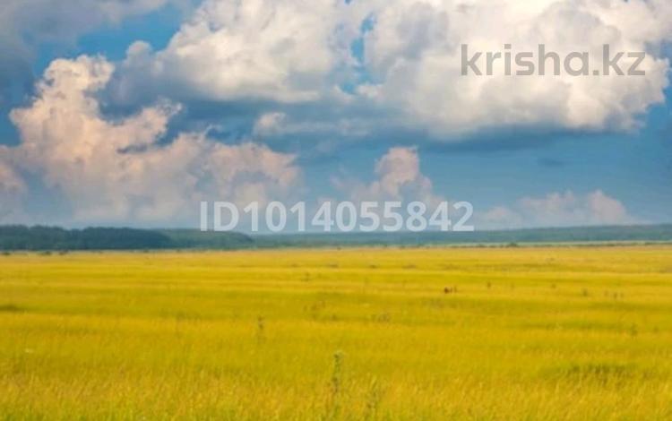 Жер телімі · 10 сотық, Мкр Самал ул 11, бағасы: 2.8 млн ₸ в Конаеве — фото 2