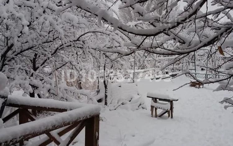 Саяжай · 4 бөлме · 100 м² · 16 сот., Мелиоратор, бағасы: 40 млн 〒 в  — фото 2