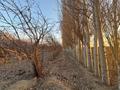 Участок · 1.8 га, Жаркент за 180 000 ₸ — фото 3