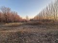 Участок · 1.8 га, Жаркент за 180 000 ₸