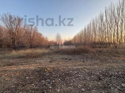 Жер телімі · 1.8 га, Жаркент, бағасы: 180 000 ₸