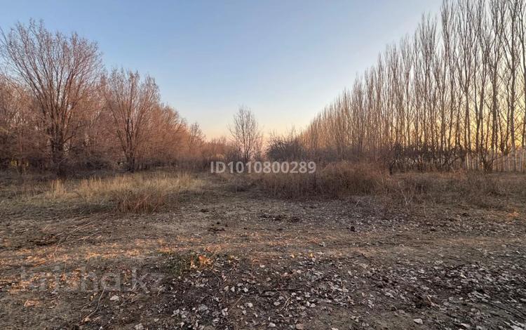 Участок · 1.8 га, Жаркент за 180 000 ₸ — фото 6