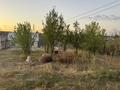 Саяжай · 1 бөлме · 55 м² · 8 жүзд., Дача Сокол — Сокол, бағасы: 4 млн ₸ в Жибек Жолы — фото 3