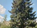 Дача · 2 комнаты · 29 м² · 6 сот., С/т "Алтайский строитель" за 2.9 млн ₸ в Усть-Каменогорске, Ульбинский — фото 2