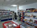 Магазины и бутики • 360 м² за 35 млн 〒 в Текели — фото 5