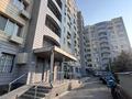 5-бөлмелі пәтер · 150 м² · 10/10 қабат, Исаева 15 — Гоголя, бағасы: 85 млн ₸ в Алматы, Алмалинский р-н — фото 19