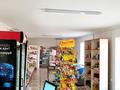 Магазины и бутики • 140 м² за 55 млн 〒 в Шымкенте, Абайский р-н — фото 4