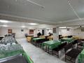 Свободное назначение, общепит · 250 м² за 300 000 ₸ в Таразе, мкр Жансая — фото 16