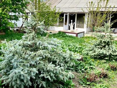 Саяжай · 1 бөлме · 30 м² · 10 жүзд., Сейфулина 4/1 — Поселок Пригородный, бағасы: 7.5 млн ₸